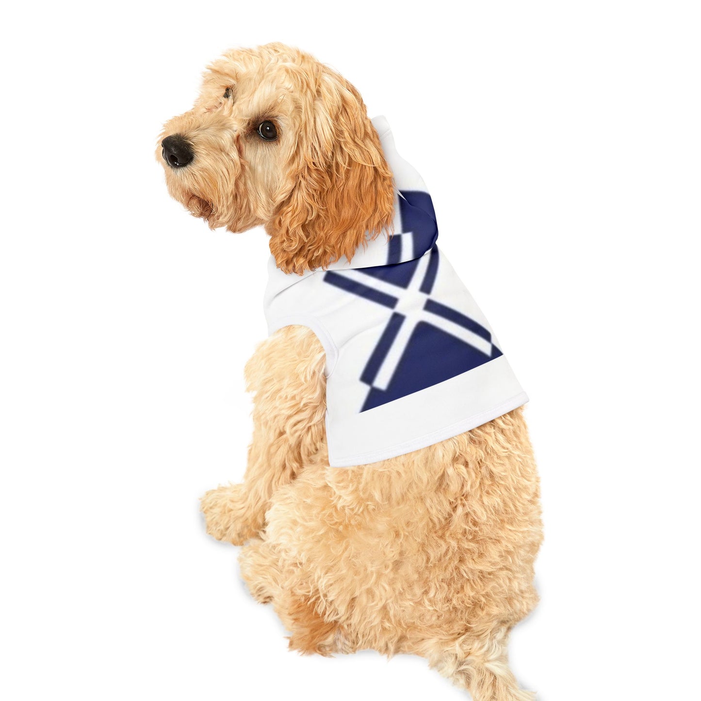 Trendy Pet Hoodie for Stylish Dogs, Fun Fashion for Pets, Cozy Sweater for Pets, Dog Apparel for Gift-Giving, Perfect for Walks