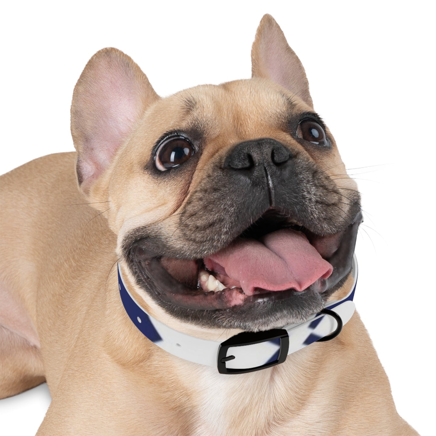 Stylish Dog Collar for Crafty Pet Lovers, Personalized Dog Accessories, Unique Dog Fashion, Great for Dog Birthdays, Fun Pet Gift