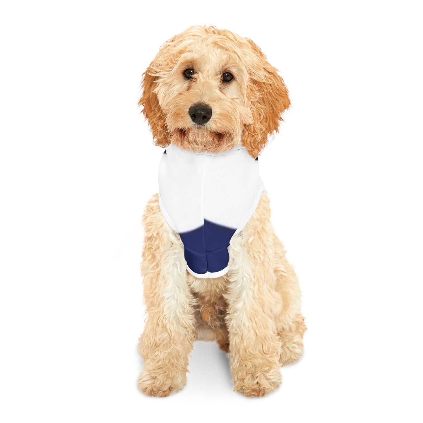 Trendy Pet Hoodie for Stylish Dogs, Fun Fashion for Pets, Cozy Sweater for Pets, Dog Apparel for Gift-Giving, Perfect for Walks