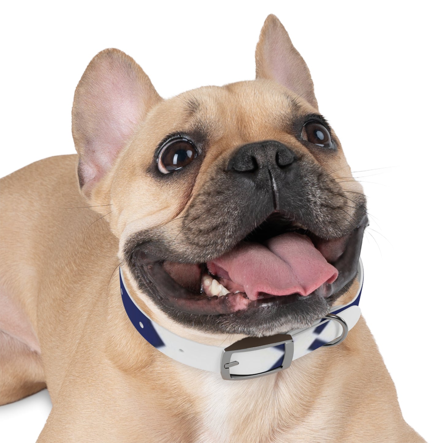 Stylish Dog Collar for Crafty Pet Lovers, Personalized Dog Accessories, Unique Dog Fashion, Great for Dog Birthdays, Fun Pet Gift