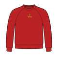 Youth Sponge Fleece Crewneck Sweatshirt