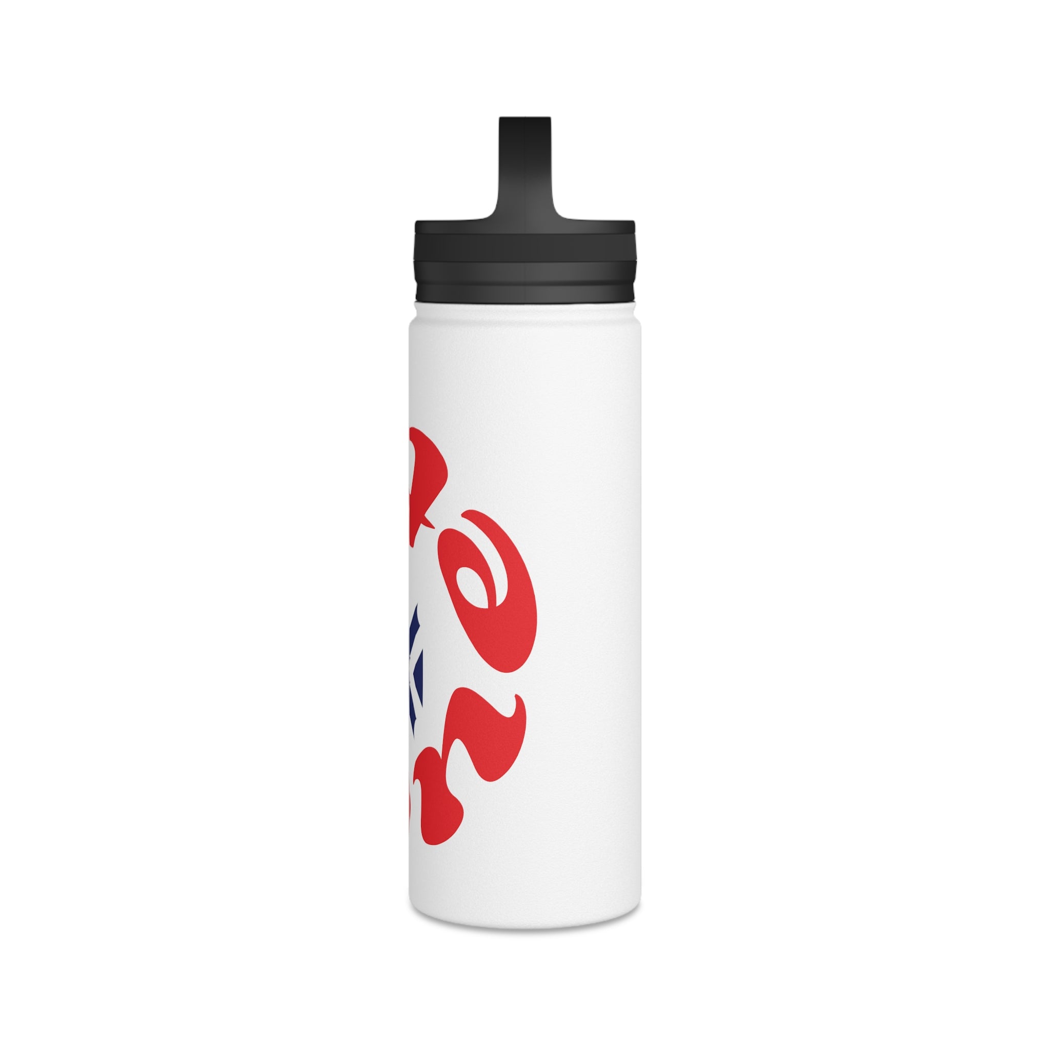 Stainless Steel Water Bottle, Handle Lid