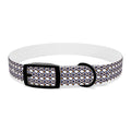 XT9 Dog Collar — Blue & Brown Stylish Pet Accessory