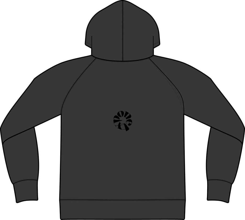 Unisex Icon Lightweight Loopback Terry Hooded Sweatshirt