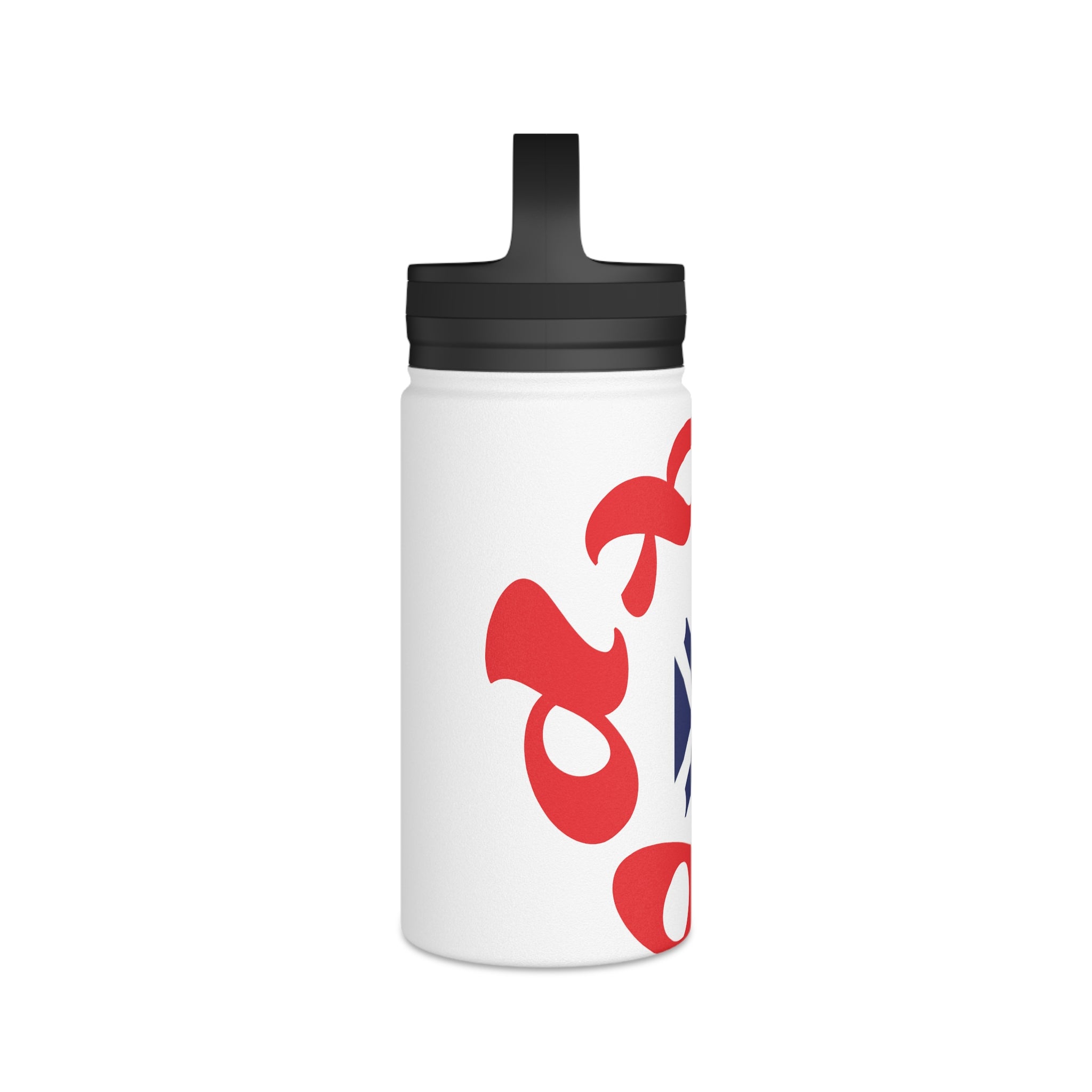Stainless Steel Water Bottle, Handle Lid