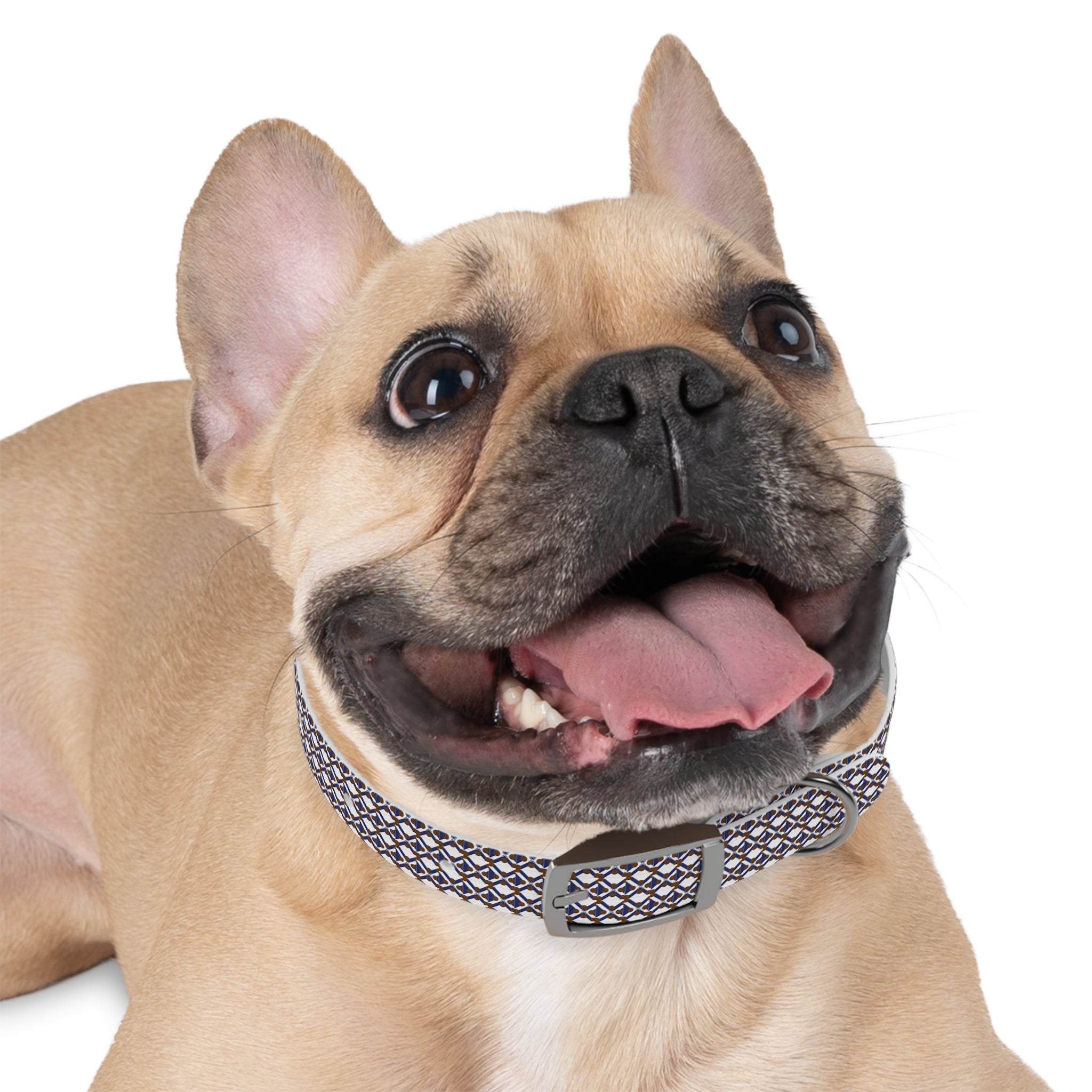 XT9 Dog Collar — Blue & Brown Stylish Pet Accessory