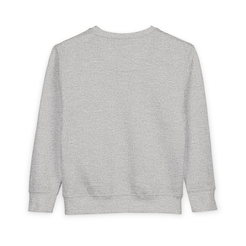 Toddler Sweatshirt