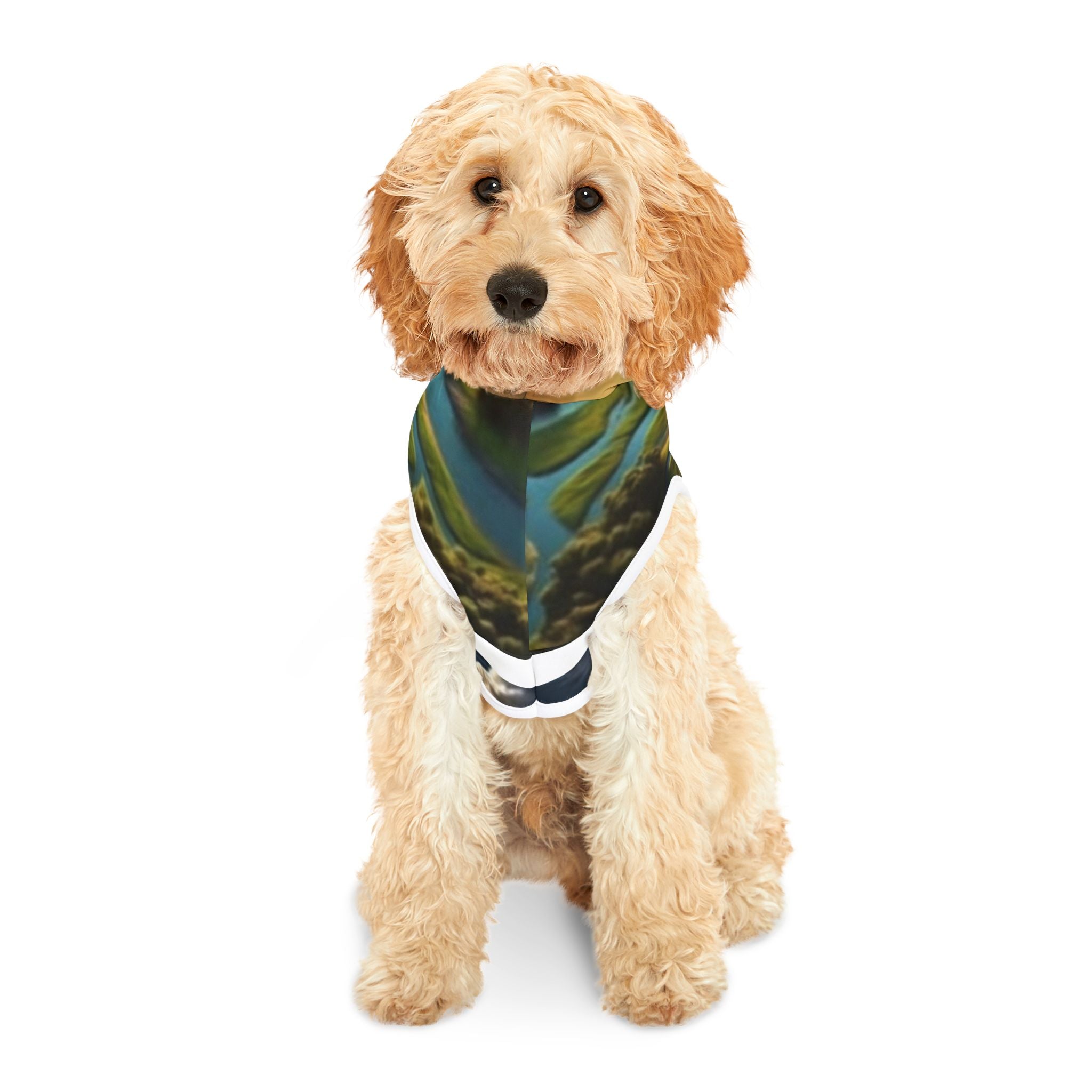 XT Delta Dog Adventures Pet Hoodie
