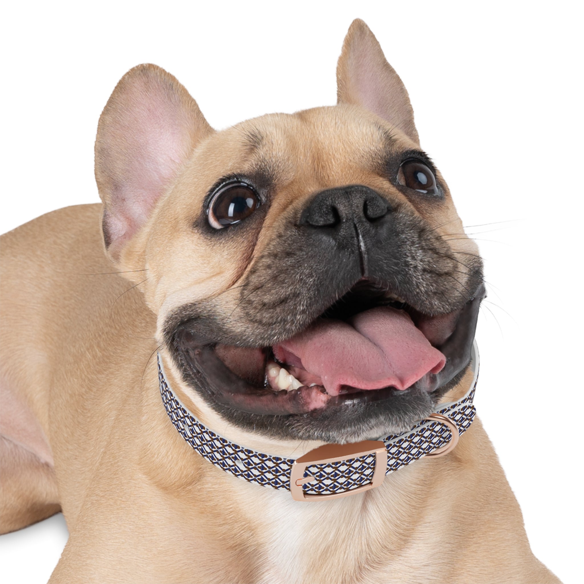 XT9 Dog Collar — Blue & Brown Stylish Pet Accessory