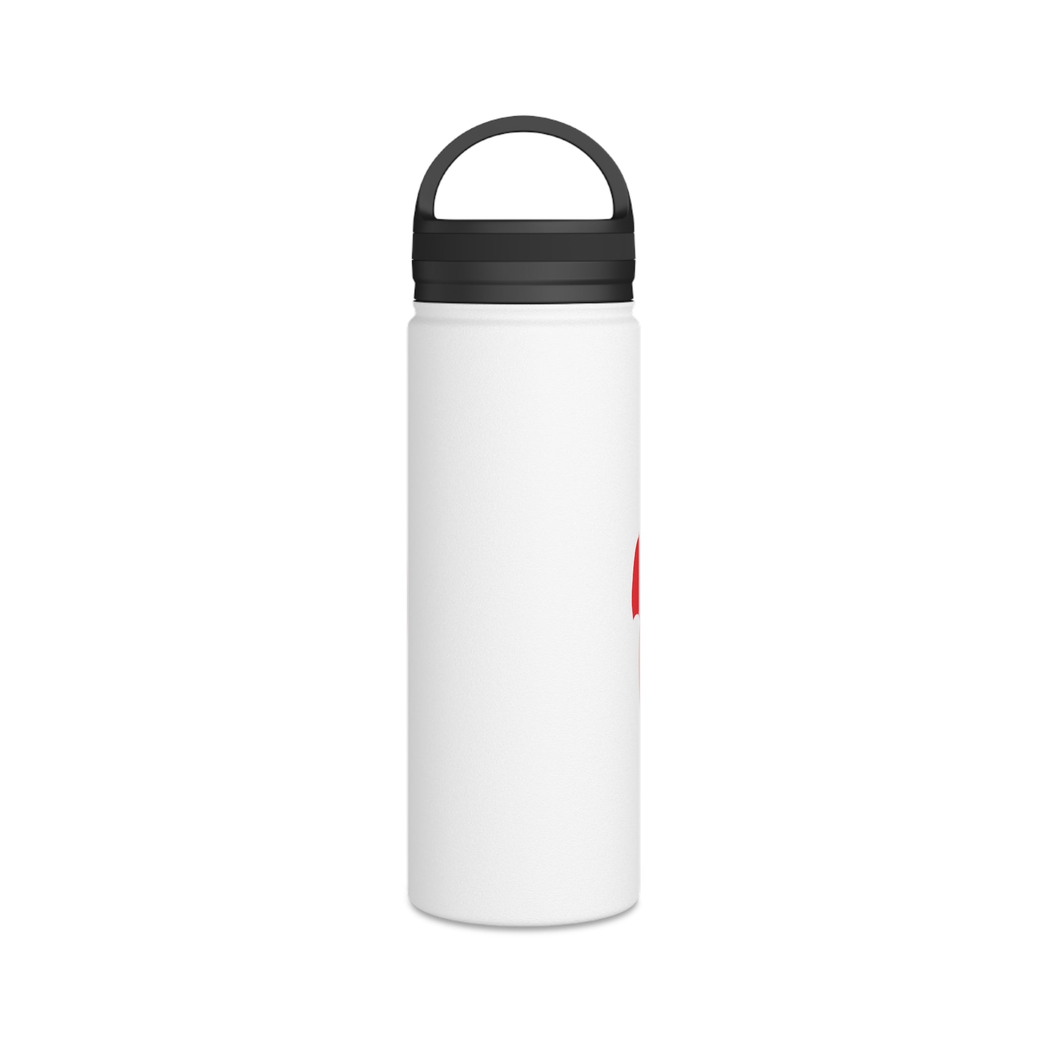 Stainless Steel Water Bottle, Handle Lid