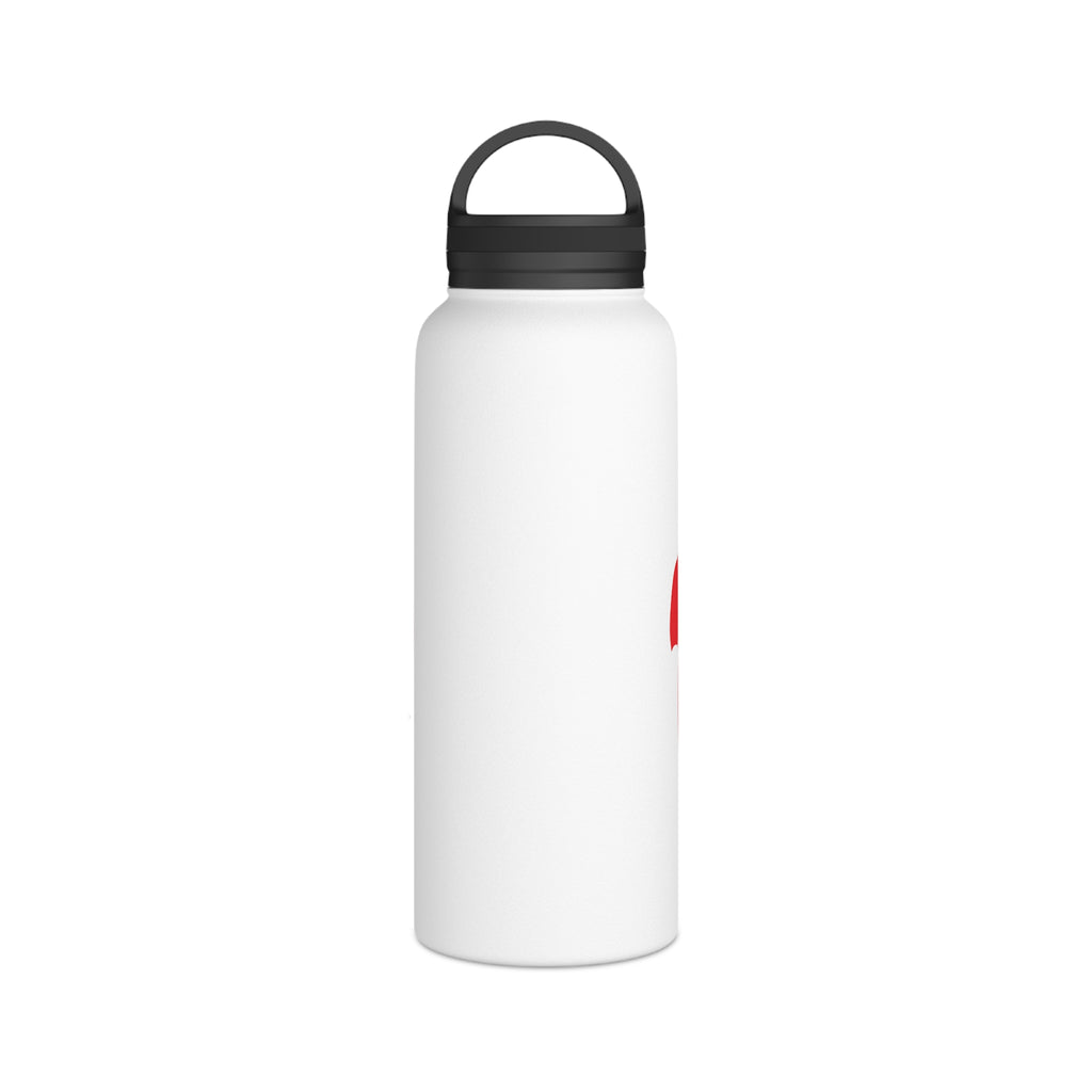 Stainless Steel Water Bottle, Handle Lid