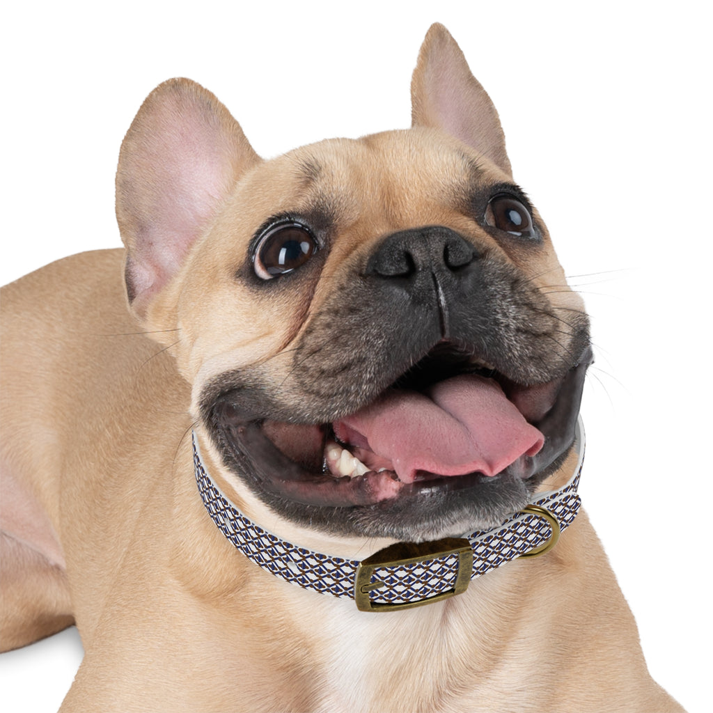 XT9 Dog Collar — Blue & Brown Stylish Pet Accessory