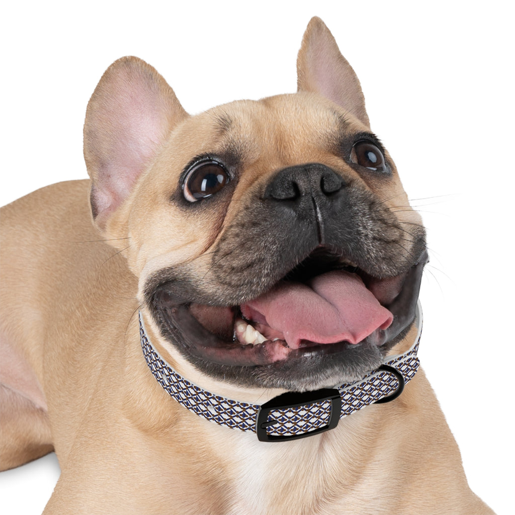 XT9 Dog Collar — Blue & Brown Stylish Pet Accessory