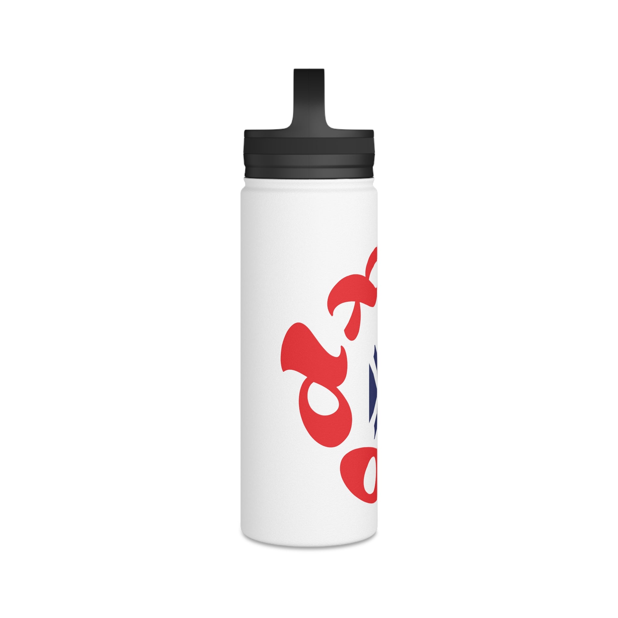 Stainless Steel Water Bottle, Handle Lid